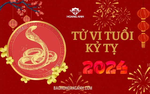 Tử vi tuổi Kỷ Tỵ năm 2024