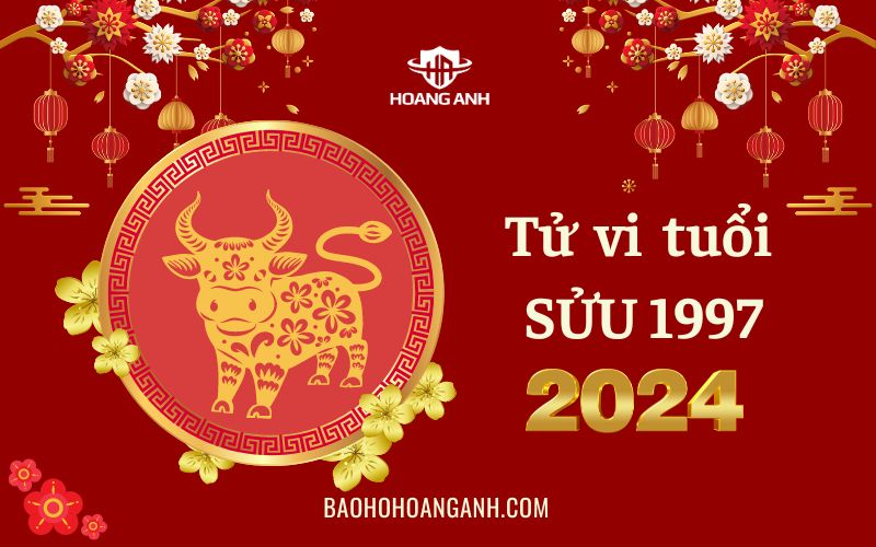 Xem tử vi tuổi Sửu 1997 năm 2024 – Chọn vợ, chồng hợp tuổi