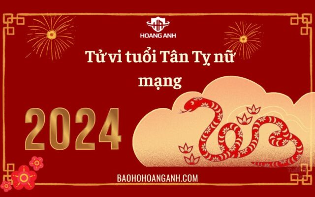 Tử vi tuổi Tân Tỵ năm 2024 nữ mạng - Luận giải chi tiết