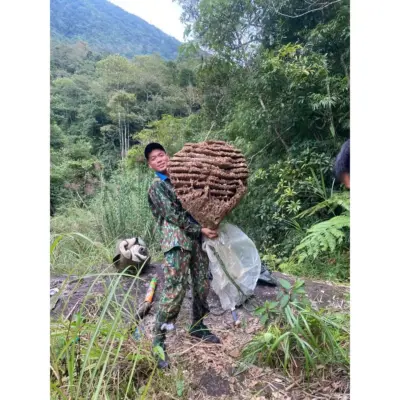 bộ quần áo bắt ong
