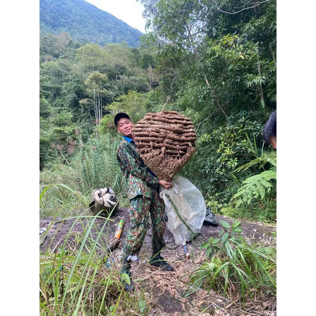 bộ quần áo bắt ong